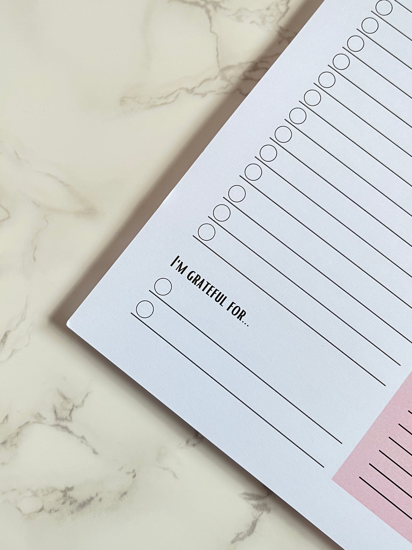 A5 Dusty Rose Daily Notepad